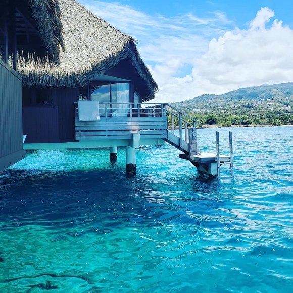 Meet your Posher, Janee - Picture 3 of 3